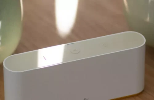 Der Somfy TaHoma Switch auf einem hölzernen Tisch vor zwei grünen Vasen.